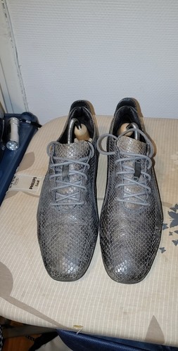 Puma hours python neil - 96, by