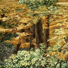 Woffsong Baumwollstoff