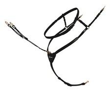 Passier Vorderzeug Ingrid Klimke schwarz mit Messingbeschlägen WB / VB