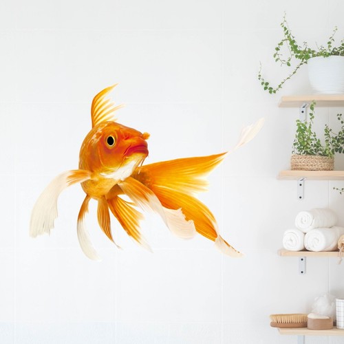 Wandtattoo goldfisch - wandtattoo,