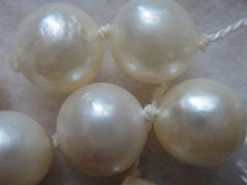 Südseeperlen 22 Stück 8,4 mm