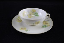 Schöne Teetasse + Untertasse