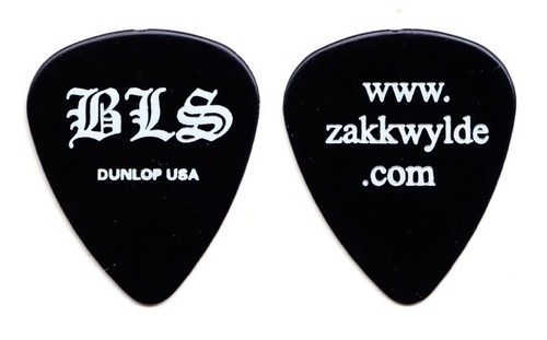 Black label society - society, wylde
