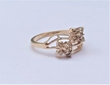 Natürlich Rose Schnitt