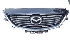 Kühlergrill Grill vorne