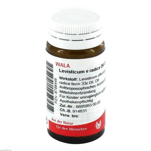 Levisticum radice 6 - levisticum, d