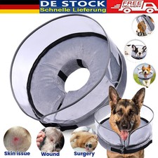 Haustiere Halskrause