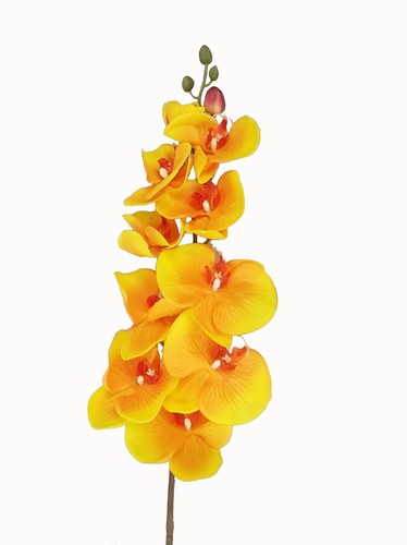 Orchideenzweig 107 orange - orchideenzweig,