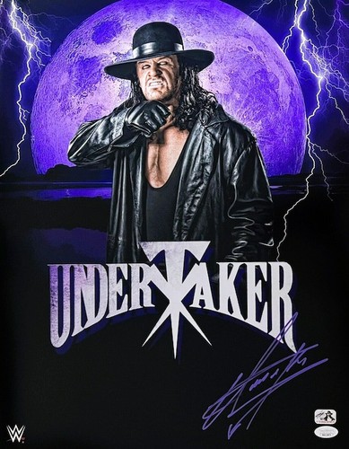 The undertaker - the,