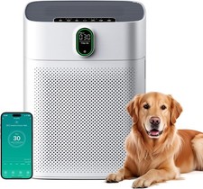 Air Purifier for Allergy