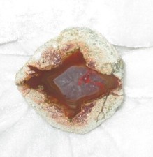 Achat ~~ Sternachat ~~