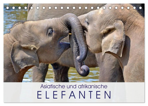 Asiatische und afrikanische