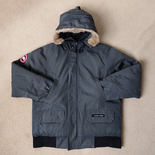 Canada goose chilliwack - canada,