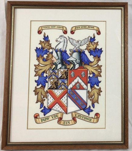 Heraldik familienwappen - heraldik,