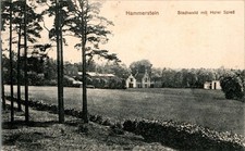 AK GRUSS AUS GRENZMARK