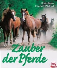 Zauber der Pferde von Ursula Bruns | Buch | Zustand sehr gut
