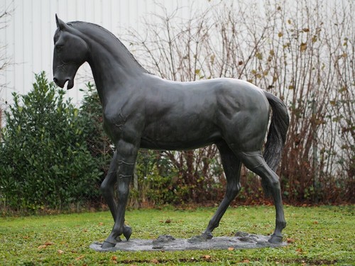 Bronzeskulptur pferd - pferd, in