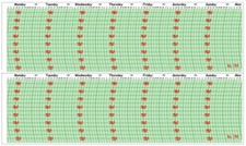 BAS38 Lufft English Dutch