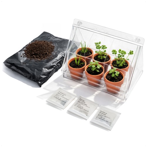 Mini gewächshaus mit 6 - mini,
