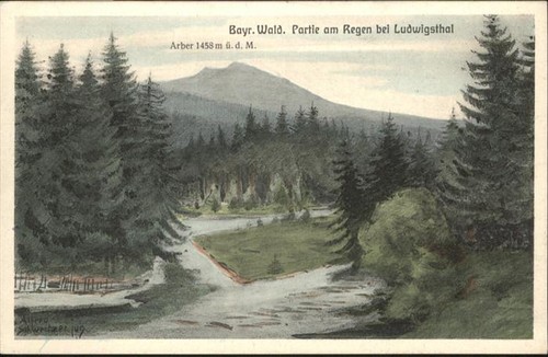 Ludwigsthal regen - am,