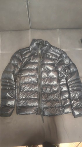 Canada goose crofton - goose,