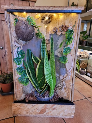 Osb hochterrarium - osb,