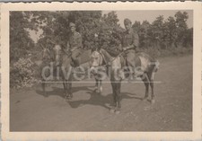 Foto, Ausritt mit rumänischen Pferden 1944, Rumänien 2025/05