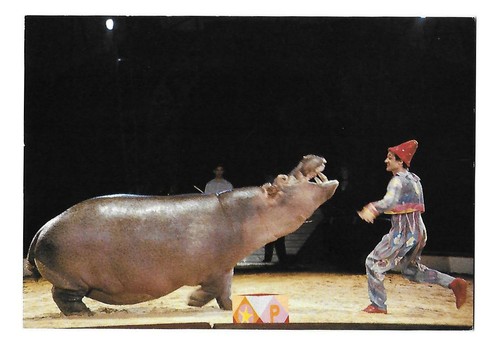 Konvolut zirkus krone - zirkus,
