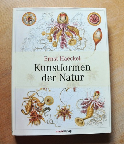 Ernst haeckel kunstformen - haeckel,, der