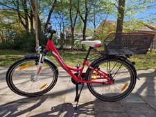 Pegasus Avanti 24 Zoll