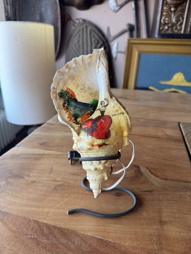 Muschel lampe schnecke - lampe,