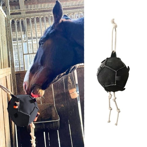 Pferdedrealiball interaktiver