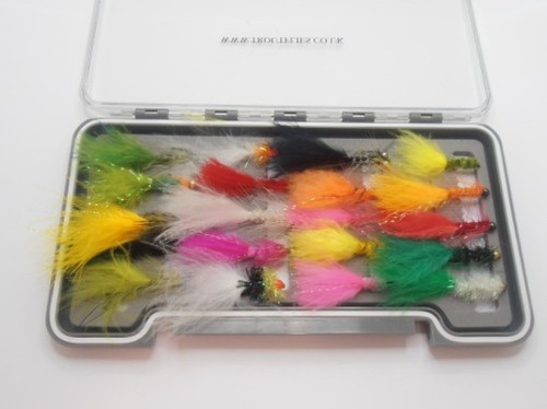 Zufällig verpackte - 20,