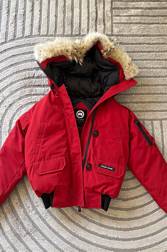 Canada goose jungen - canada,
