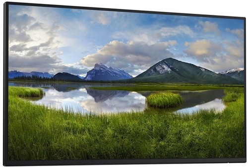 Dell p2425h 100hz fhd - p2425h,