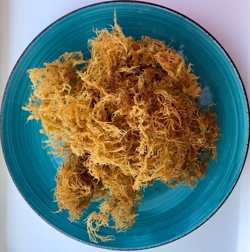 100g grenadisches meeresmoos - grenadisches,