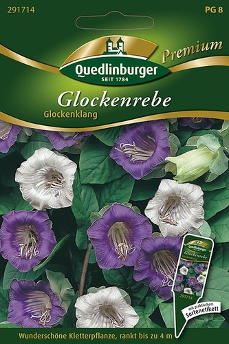 Quedlinburger glockenrebe - quedlinburger,