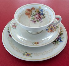 1917 Seltmann Vohenstrauß Sammeltasse Sammelgedeck Gelb Rosa Rot Orange Blumen 