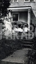 Altes Pressefoto UK , Die