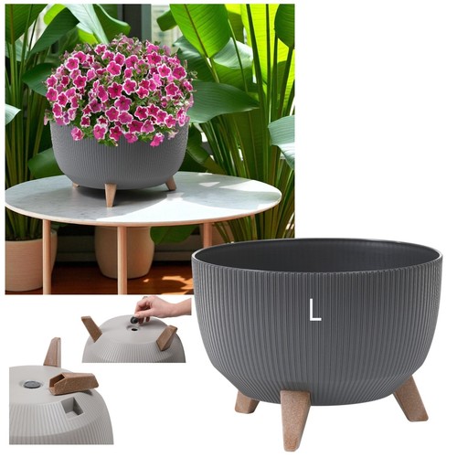 Pflanzschale blumenschale mit - blumenschale,