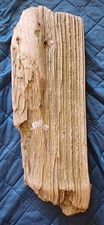 Treibholz schwemmholz - treibholz,