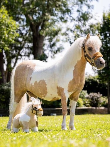 Lemieux spielzeug pony - pony,