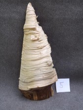 Astholz Treibholz Schwemmholz