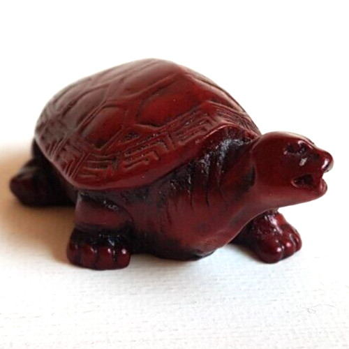 Kleine schildkröte tiefrot - schildkröte,