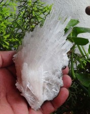 Scolecite Blütenmineralien