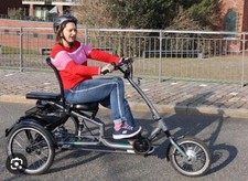 neuwertiges e-bike-Dreirad, Top Zustand, Garantie, Grau, komfortabel und sicher 