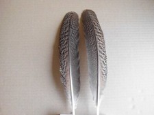 2 gestreifte Pfauenfedern,  28  cm