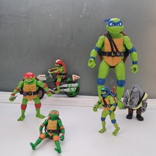 Teenage Mutant Ninja Turtle