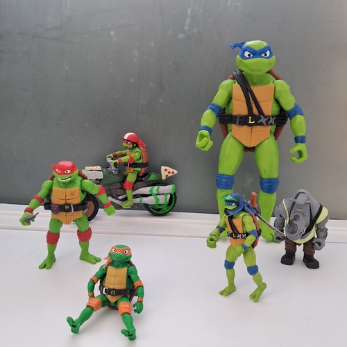 Teenage mutant ninja turtle - mutant,