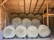 Rundballen Heu, 1. Schnitt